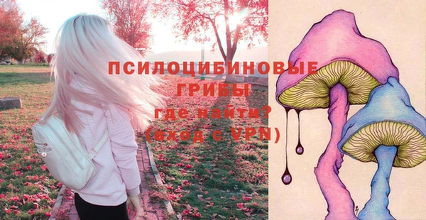 гидропоника Ростов