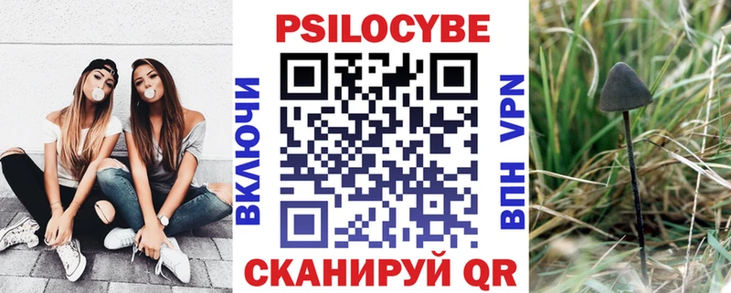 Галлюциногенные грибы Psilocybine cubensis  Апрелевка 