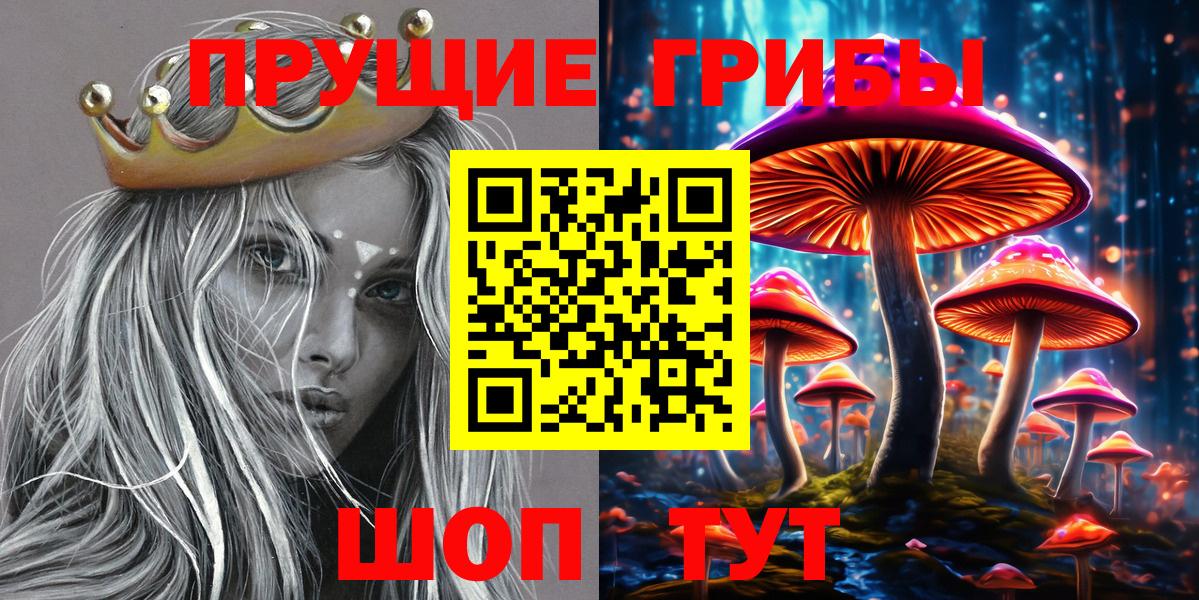 Апрелевка  Галлюциногенные грибы Psilocybine cubensis  наркота  Вход с VPN 