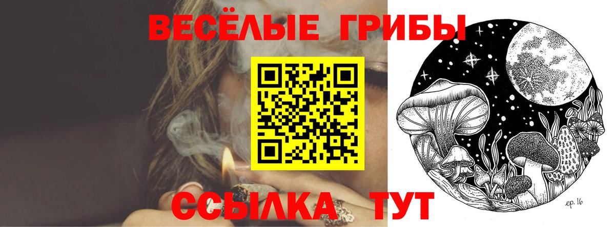 Галлюциногенные грибы мицелий  Апрелевка 